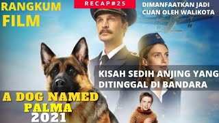 KISAH NYATA‼️HACHIKO JILID 2, KESETIAANYA BUAT KTA MNANGIS Alur Cerita Film A Dog Named Palma (2021)