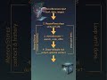 How AI agents actually works?