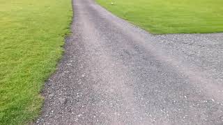 Shays Farm Campsite, Delamere, August 2020