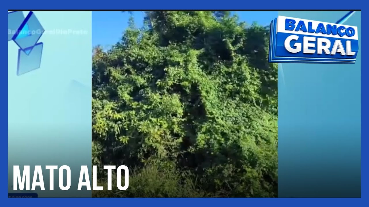 Flagrou Tá na Record: Mato alto no bairro Nunes II