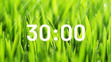 30 Minute Relaxing Rain Sound Timer 🌧️