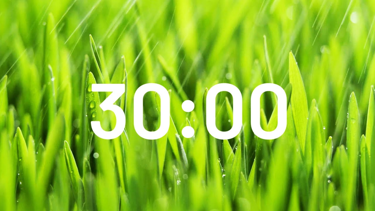 30 Minute Relaxing Rain Sound Timer 🌧️ - YouTube