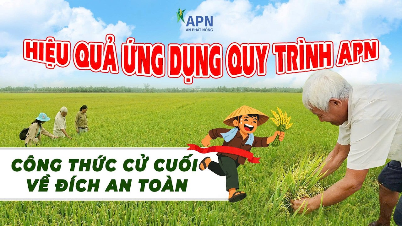 APN - HIỆU QUẢ ỨNG DỤNG QUY TRÌNH APN - CÔNG THỨC CỬ CUỐI VỀ ĐÍCH AN TOÀN | ĐÔNG XUÂN 2026