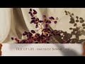 Tree of Life - Amethyst Bonsai Tree from Karma and Luck