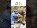 Allah ki qudrat allah youtubeshorts viral