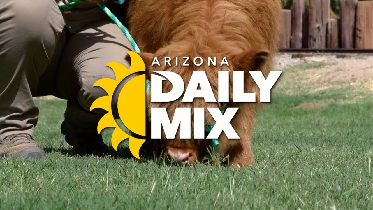 Arizona Daily Mix | May 18, 2026 Episode - YouTube