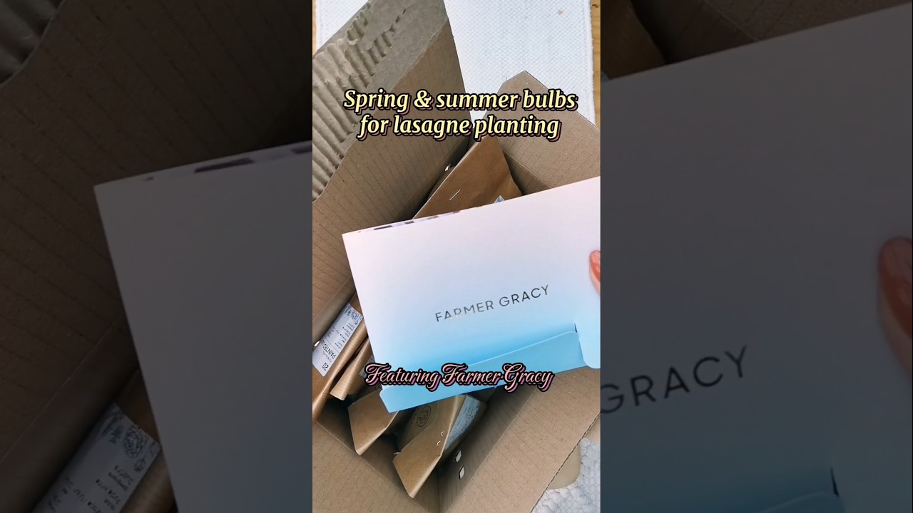 Spring and summer bulbs for lasagne planting