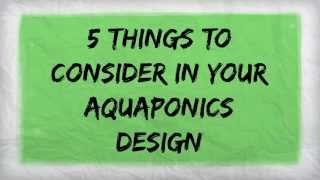 5 Things To Consider In Your Aquaponics Design