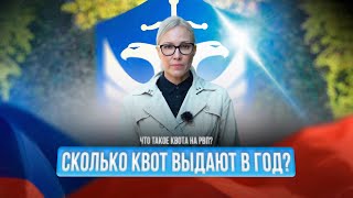Что такое #КВОТА на #РВП? Сколько #КВОТ выдают в #ГОД?
