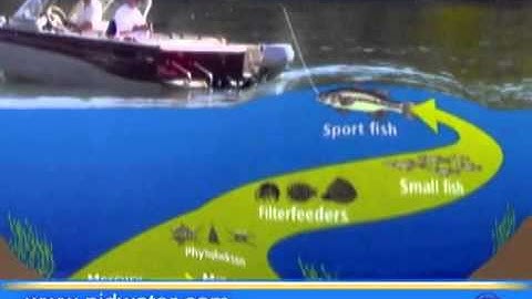 The Combie Reservoir Sediment and Mercury Removal Project