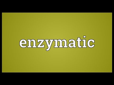 Enzymatic Meaning