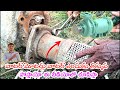how to increase water 💦 🌊 pressure in water motor in Telugu // submersible motor repair🛠️