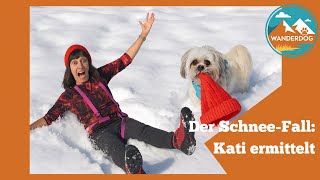 Wandern mit Hund im Winter: Schneeschuhtour auf den Unternberg (Chiemgau)