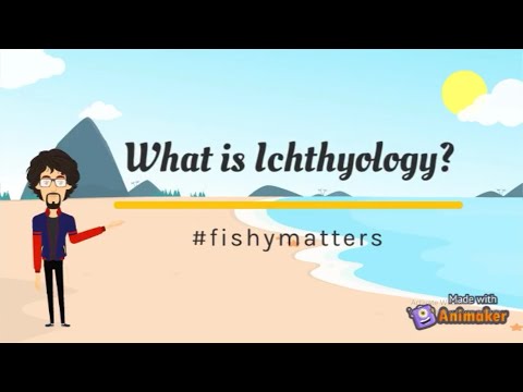 Video: Sino Ang Isang Ichthyologist