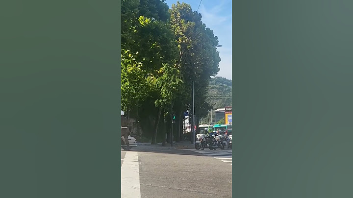 교통신호를 무시하는 수방사 군사경찰 기동대