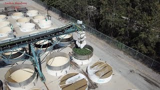 Dill Pickle Processing Plant Bay View Foods Mr Chips Pickle Factory Pinconning, Michigan