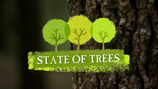 State of Trees | Georgia Outdoors