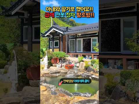 급매 6천만원 인하!! 아내와 팔기로 했어요!! 연못 정자 황토방 태양광 있는 집!! 전원주택 매매 시골집 #shorts