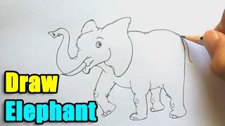 elephant draw drawing elaphant getdrawings