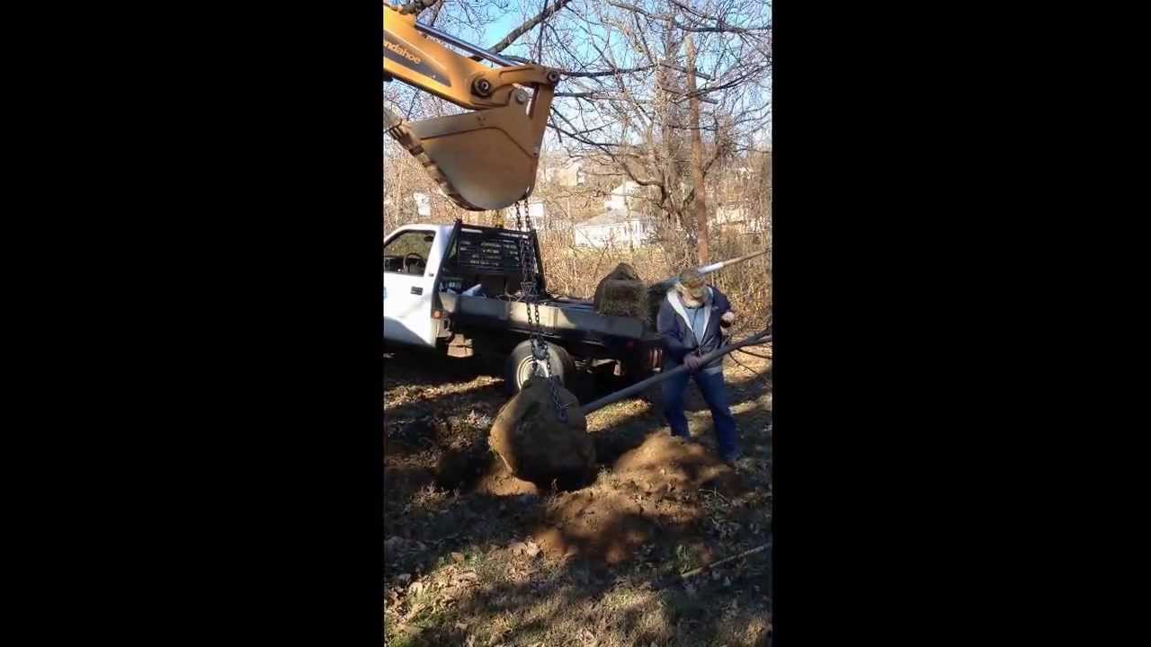 TREES "R" US YouTube