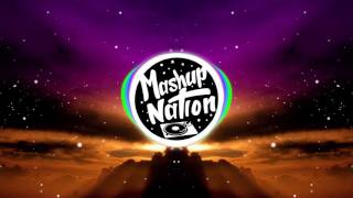 Run Wild x Typhoon (Mikanic Mashup)