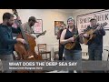 What Does The Deep Sea Say - Seneca Creek Bluegrass Band