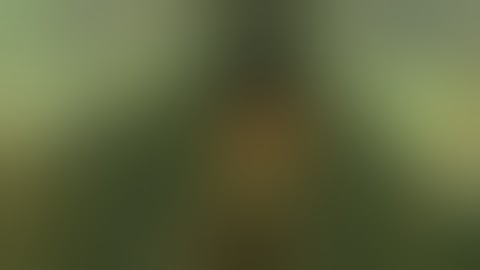 Doom Multiplayer : Alien Vendetta Coop - Part 1