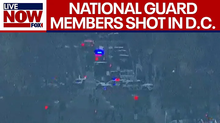 2 National Guard members shot near White House: Report