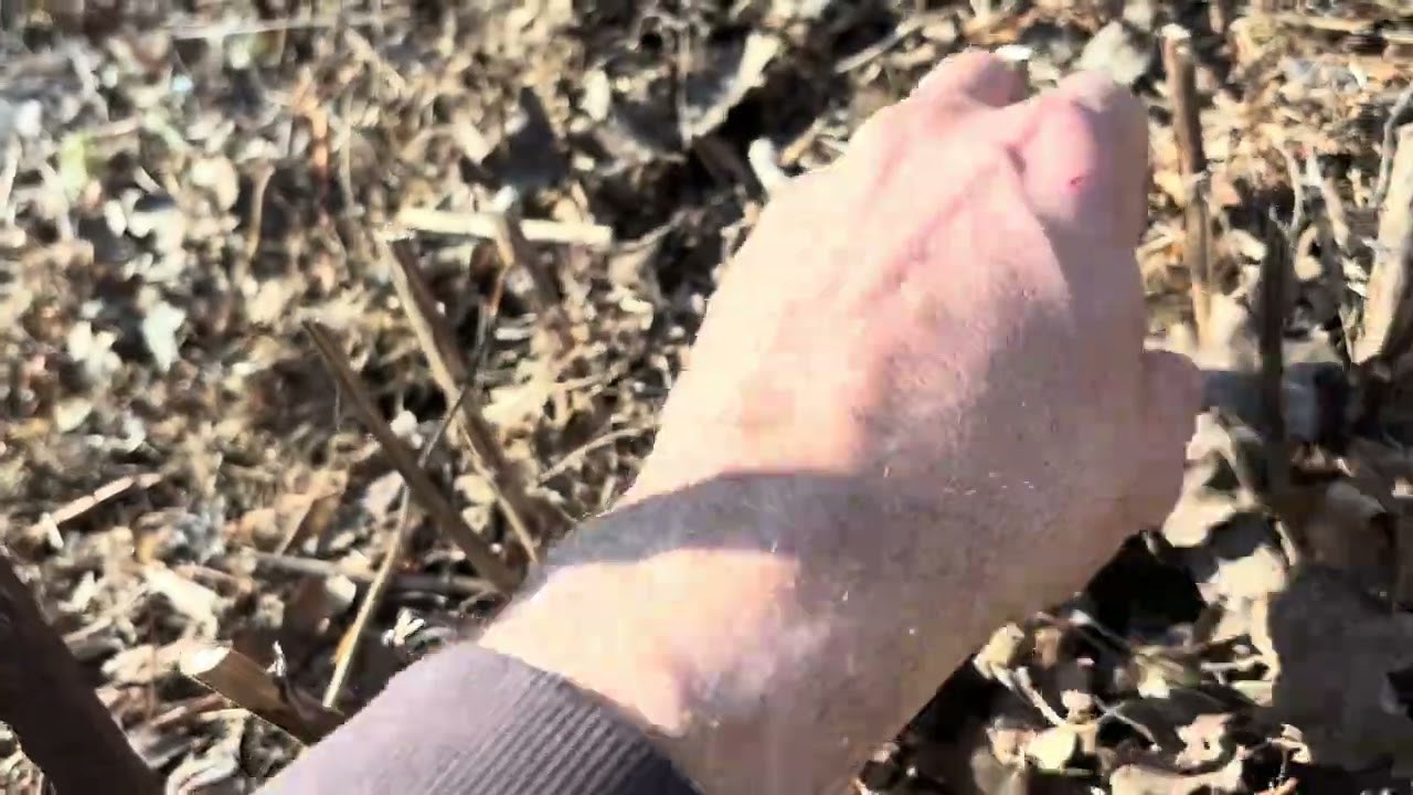 Tavaszi elő kerttúra ( metszésekről, ültetésről, a tavaszi teendőkről) kisebb bakival a videoban :)