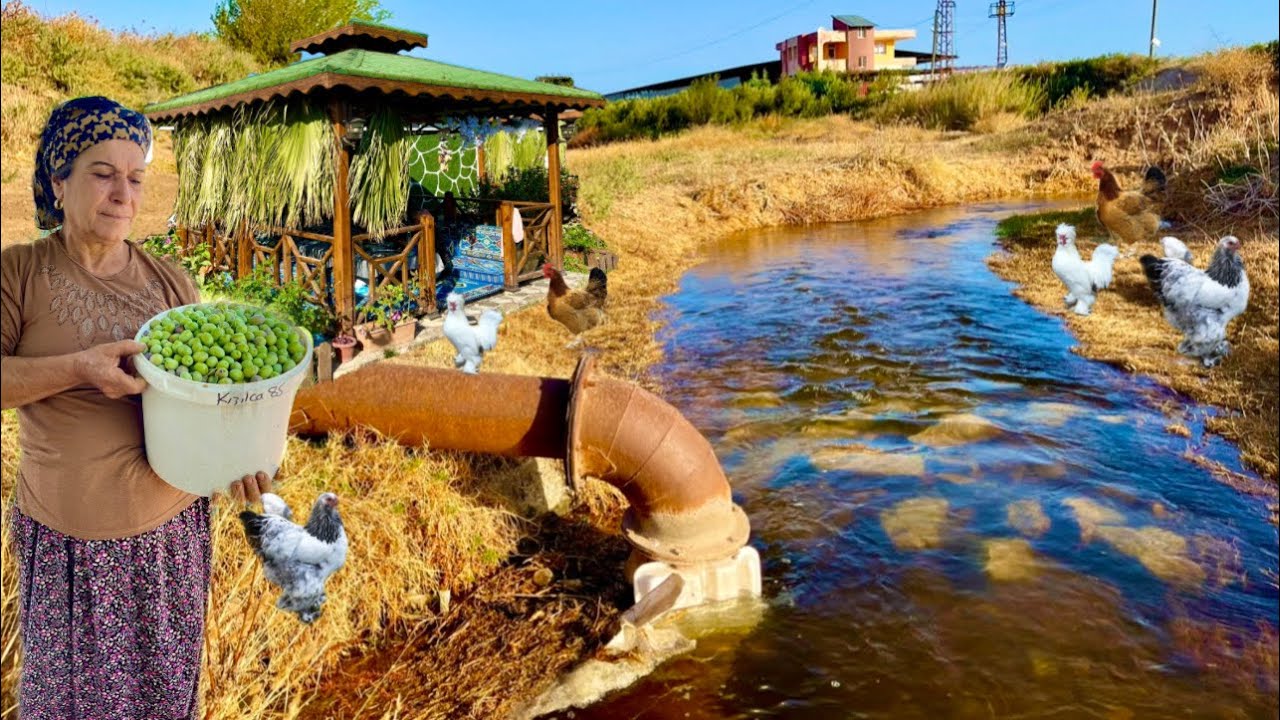 KÖY EVİ PRATİK SABAH KAHVALTISI ~ DOĞAL YAŞAM ~ KÖY İŞLERİ