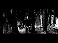 Apashe   Lacrimosa (Unofficial Music Video)