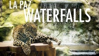 Roadtrippin Costa Rica - La Paz Waterfalls Hd Canon T2I 550D Glidecam Hd 1000