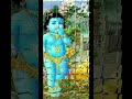 Radha Krishna song