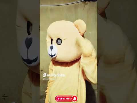 Teddy 🧸 Ki