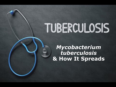 Tuberculosis (TB) - Mycobacterium tuberculosis & How It Spreads