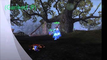 Wowbeez x500 private server