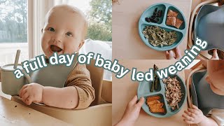 What My 8 Month Old Eats in a Day | BLW, Breastfed + Dairy Free