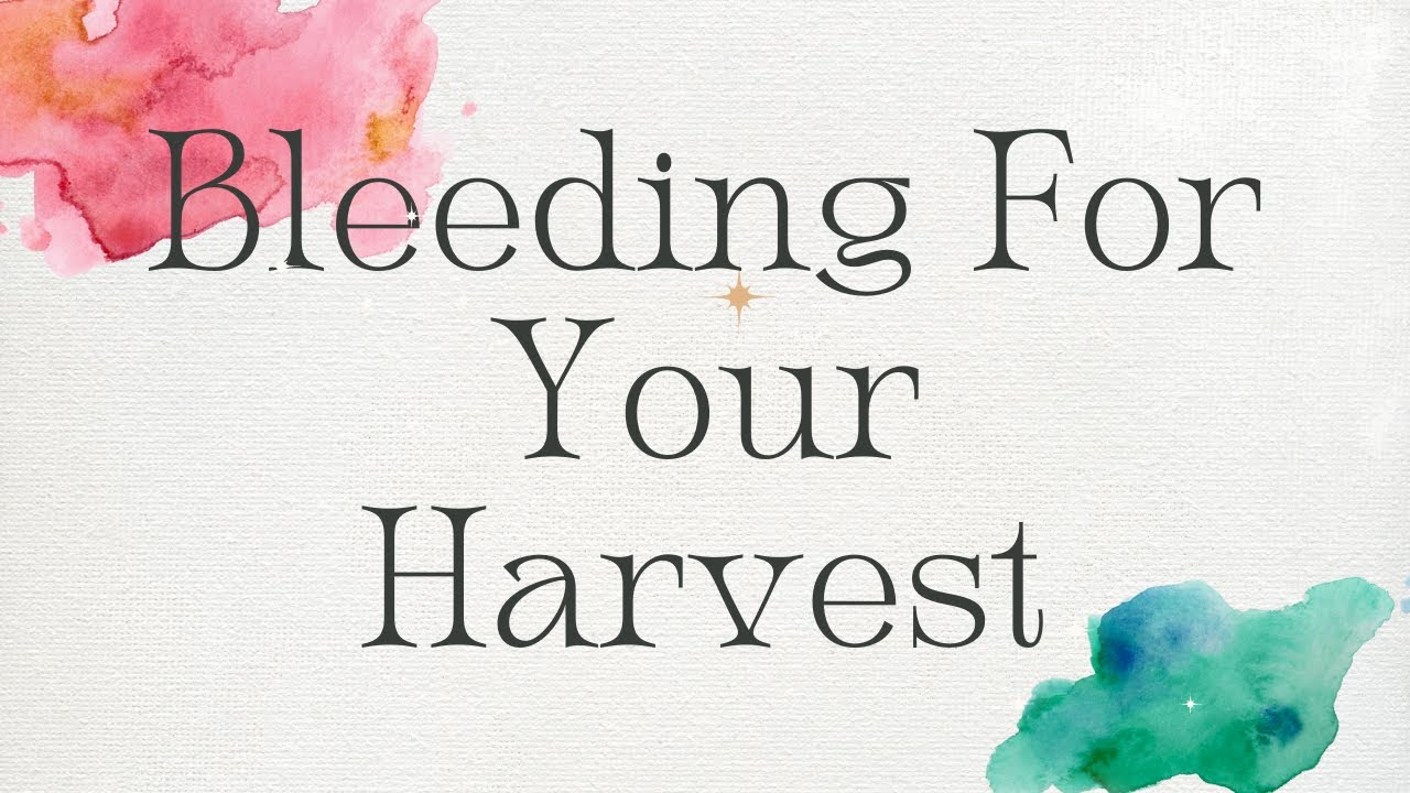 Your Bleeding Heart and The Harvest That Follows🌾🌾🌾🌾🌾