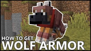 How To Get WOLF ARMOR In MINECRAFT screenshot 5
