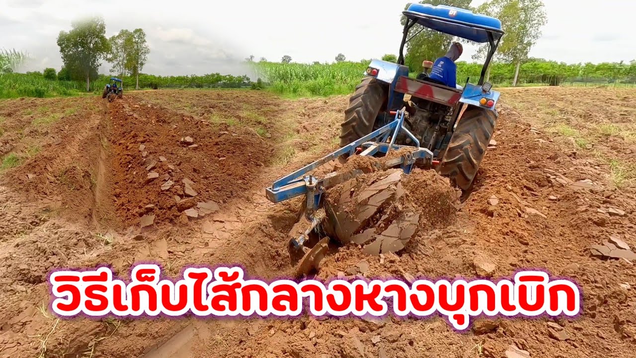 วีธีเก็บใส้กลองหางบุกเบิกแบบสวยๆ แต่งานนี้มีจมให้ดูว่าจะโชว์ซะหน่อย