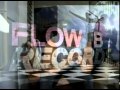Pistas de flow b recordship hop