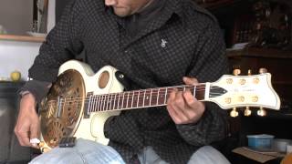 guitar resonator jay turser