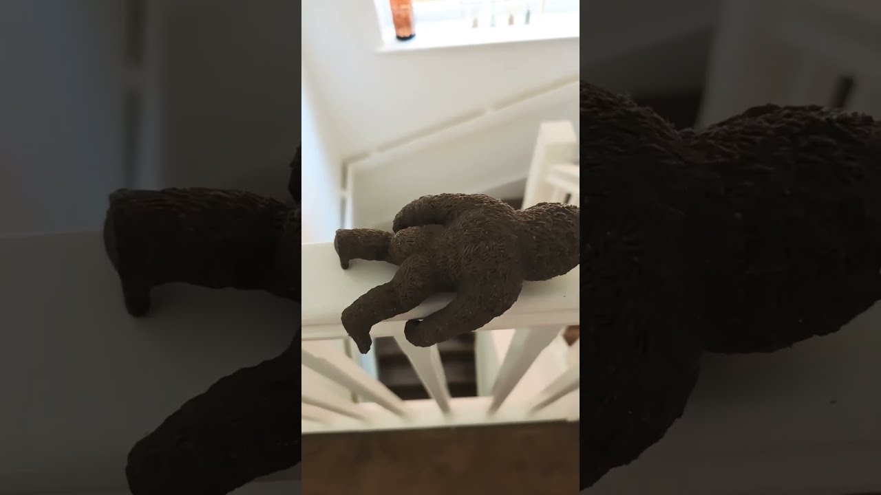  Memes Funny Helpmemakethismakesense