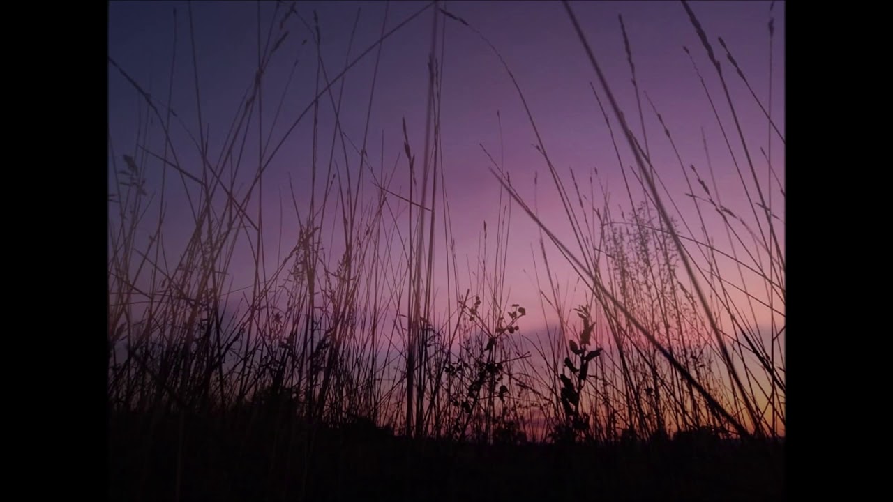 In The Gloaming - YouTube