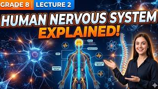 Human Nervous system| Chapter2|Class8| Lecture 2| Science