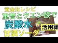 天然重曹とクエン酸で作る炭酸水の黄金比レシピ✨甘酒ソーダのレシピ大公開！159/1000