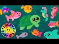 Under the sea exploration by lucky baby star sensory ocean adventure with colourful sea creatures