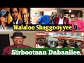 Sirboota Shaggooyyee Afaan Oromoo Adam Haaruniifi Mohammad Sheekaa 
