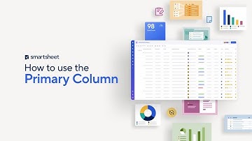 How to use the Primary Column