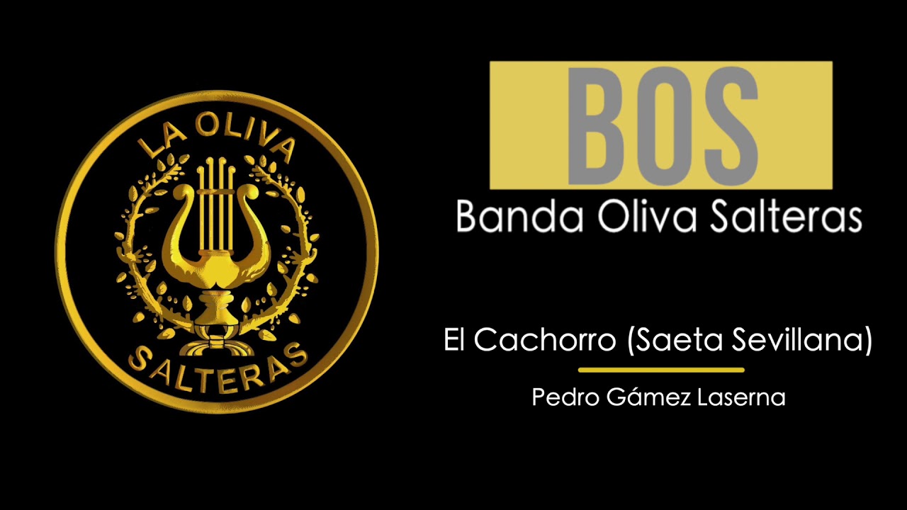 El Cachorro (Saeta Sevillana) | La Oliva de Salteras | Semana Santa en Triana (1988)